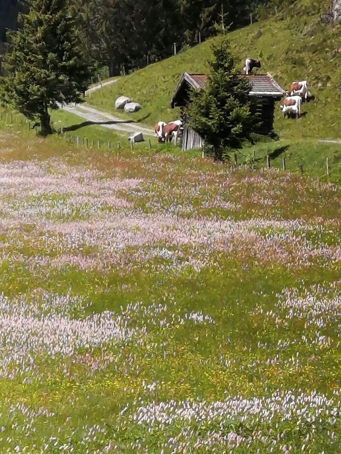 Haus Jessica Incl National Park Sommercard มิทเทอร์ซิลล์ ภายนอก รูปภาพ